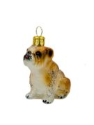 Obrazek Buldog Angielski 2692X