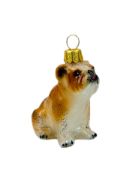 Obrazek Buldog Angielski 2692X