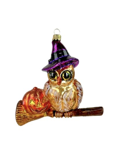 Picture of Amazing owl 3001X